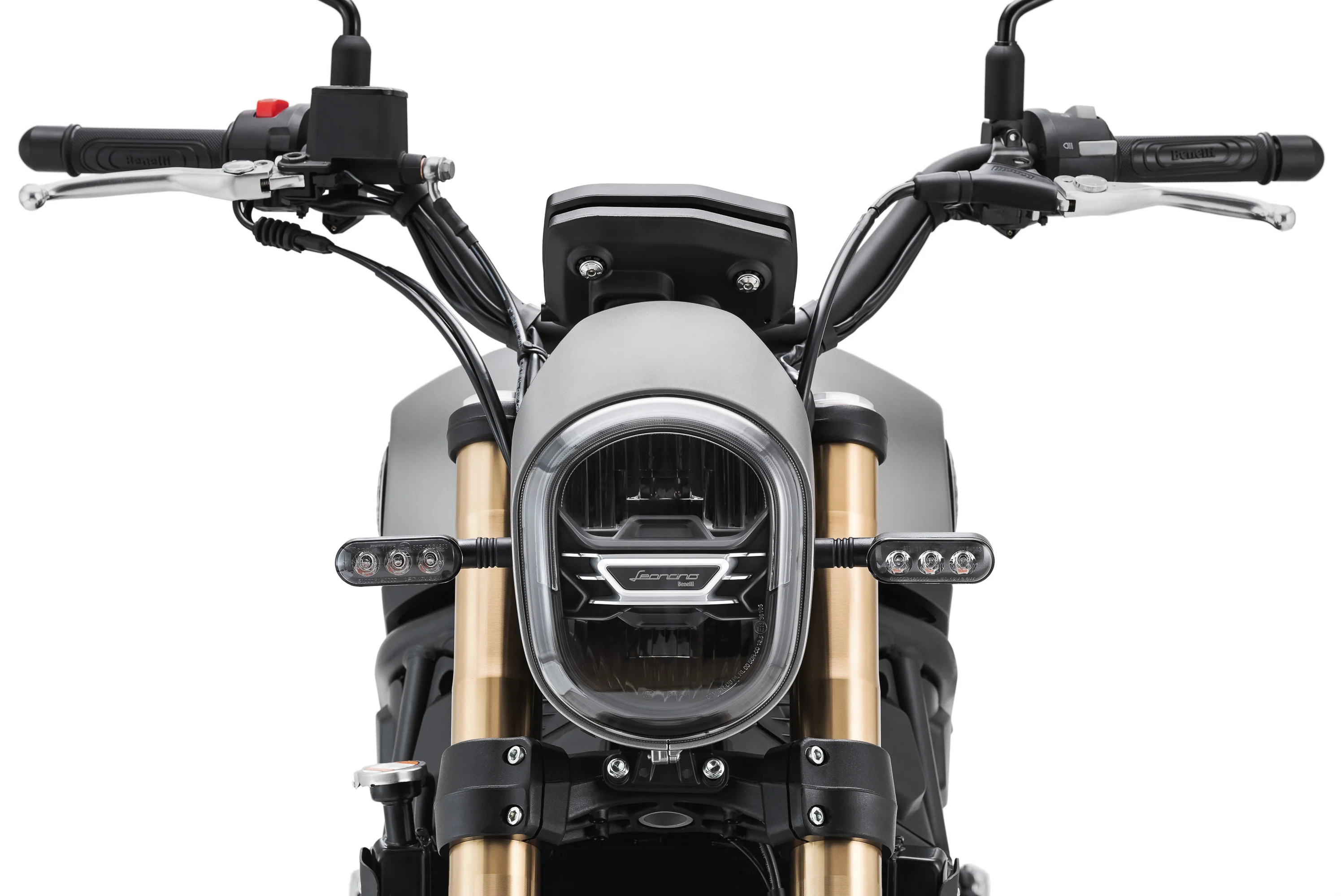 Benelli Leoncino 800 - Image 9