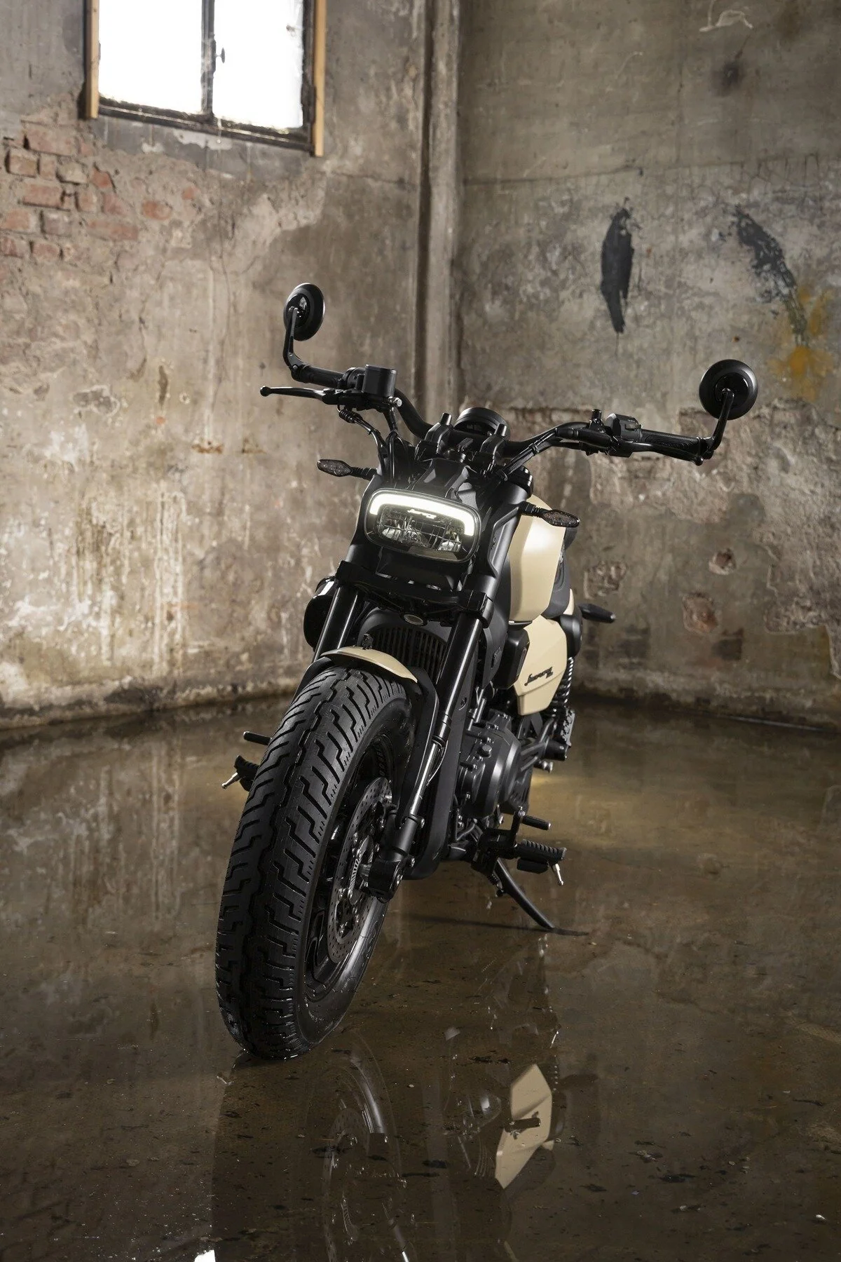 Benelli Leoncino Bobber 400 - Image 13