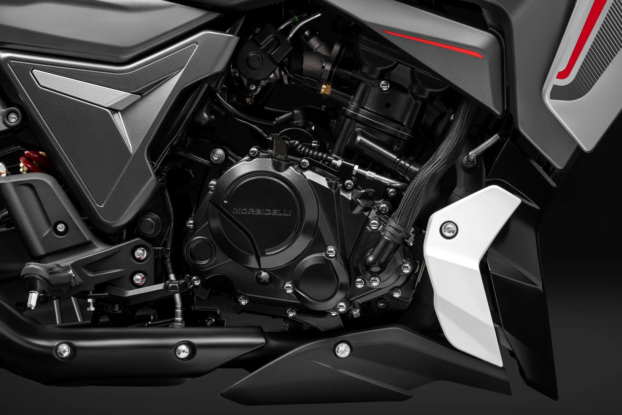 Morbidelli F125 - Image 11
